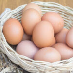 Eier M/L, 10 Stk. 3-4 Wo. haltbar, Sbg., kbA