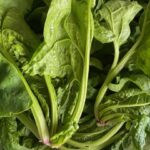 Blattspinat (mit Stängeln), 500g, kbA