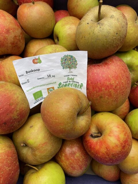 Boskoop25 Boskoop, naturbelassen, Stmk, 5kg kbA – Bild 1