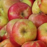 Idared aus Stmk., 5kg, kbA