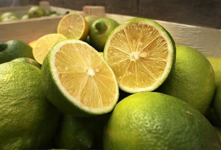 zitronen grün halbiert Zitronen, Sizilien, 1/2kg ( ca 3-4 Stk.) bio – Bild 1