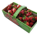 Bio-Erdbeeren OÖ, 2,5kg, kbA