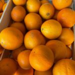 Orangen Naveline, 12kg Kiste bio