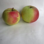 Sack Kronprinz Rudolf 2kg, naturbelassen, kbA