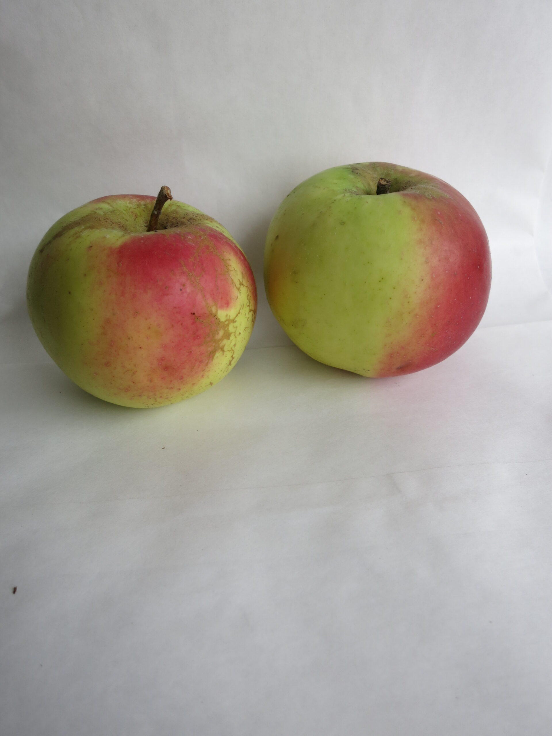 KronzprinzR2014 Sack Kronprinz Rudolf 2kg, naturbelassen, kbA – Bild 1