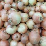Zwiebel gelb, 1kg kbA