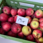 Apfelkiste gemischt (Gala/Topaz), OÖ 5kg, kbA