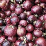 Zwiebel rot, 750g kbA