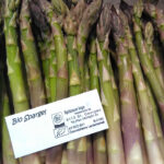 Grüner Spargel, 500g, kbA
