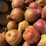 Birnen rot Alessia 1 kg kbA