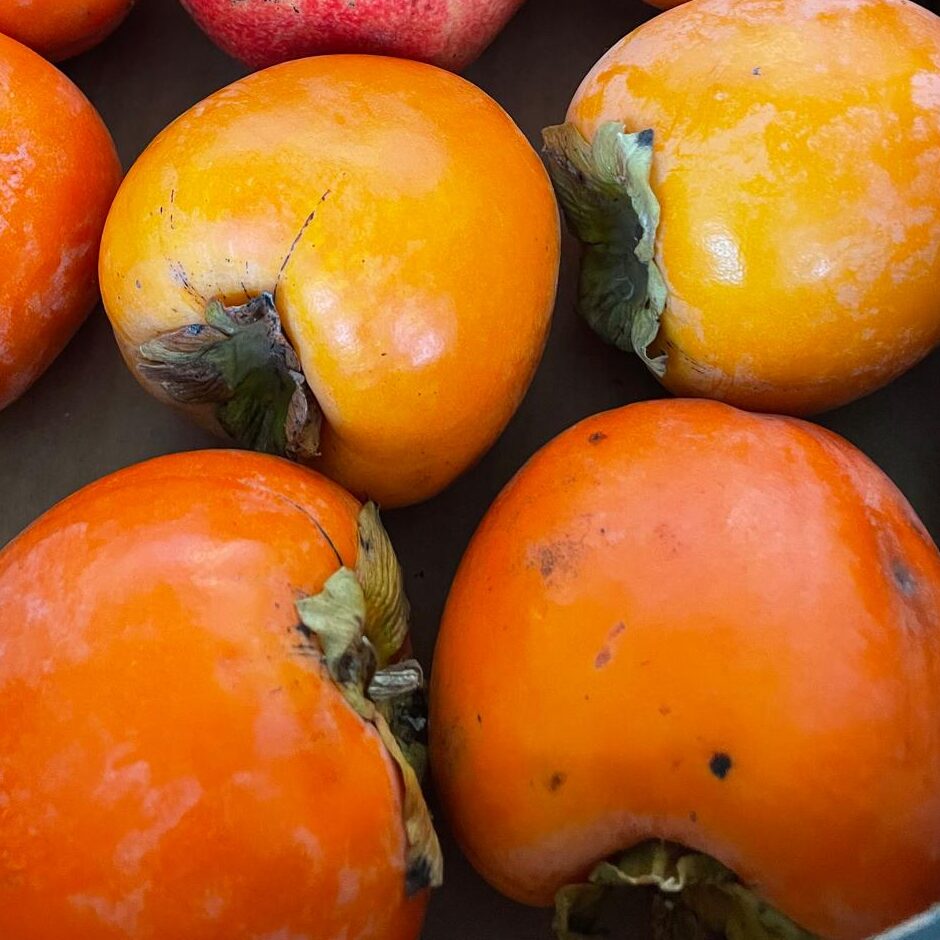 Granatapfel Kaki kiste Kaki, 1Stk. groß, Valencia bio – Bild 1