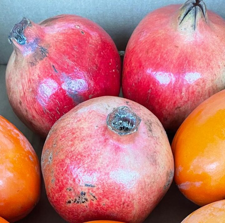 Granatapfel Kaki kiste Granatapfel, 1Stk., Valencia bio – Bild 1