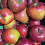 Natyra Stmk., 5kg kbA