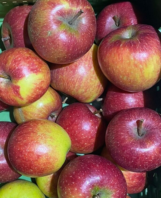 Natyra Natyra Stmk., 5kg kbA – Bild 1